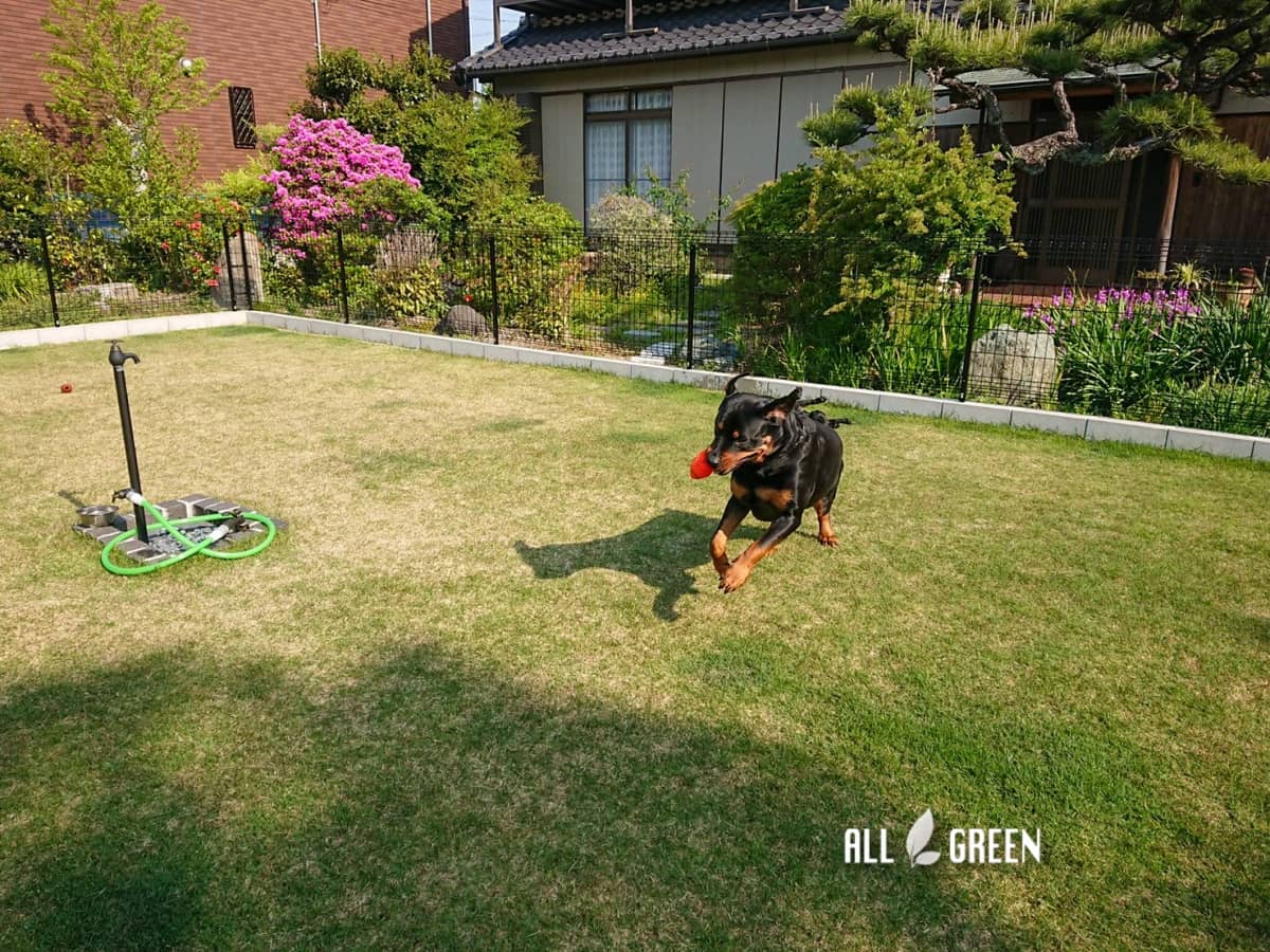 敷地内にドッグランを 北名古屋市にある愛犬を想ったリフォーム外構 Allgreen 庭 エクステリア 新築外構の専門店