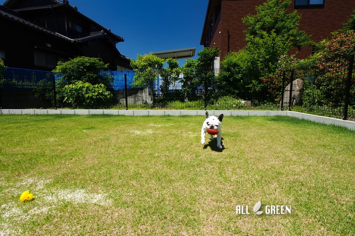 敷地内にドッグランを 北名古屋市にある愛犬を想ったリフォーム外構 Allgreen 庭 エクステリア 新築外構の専門店