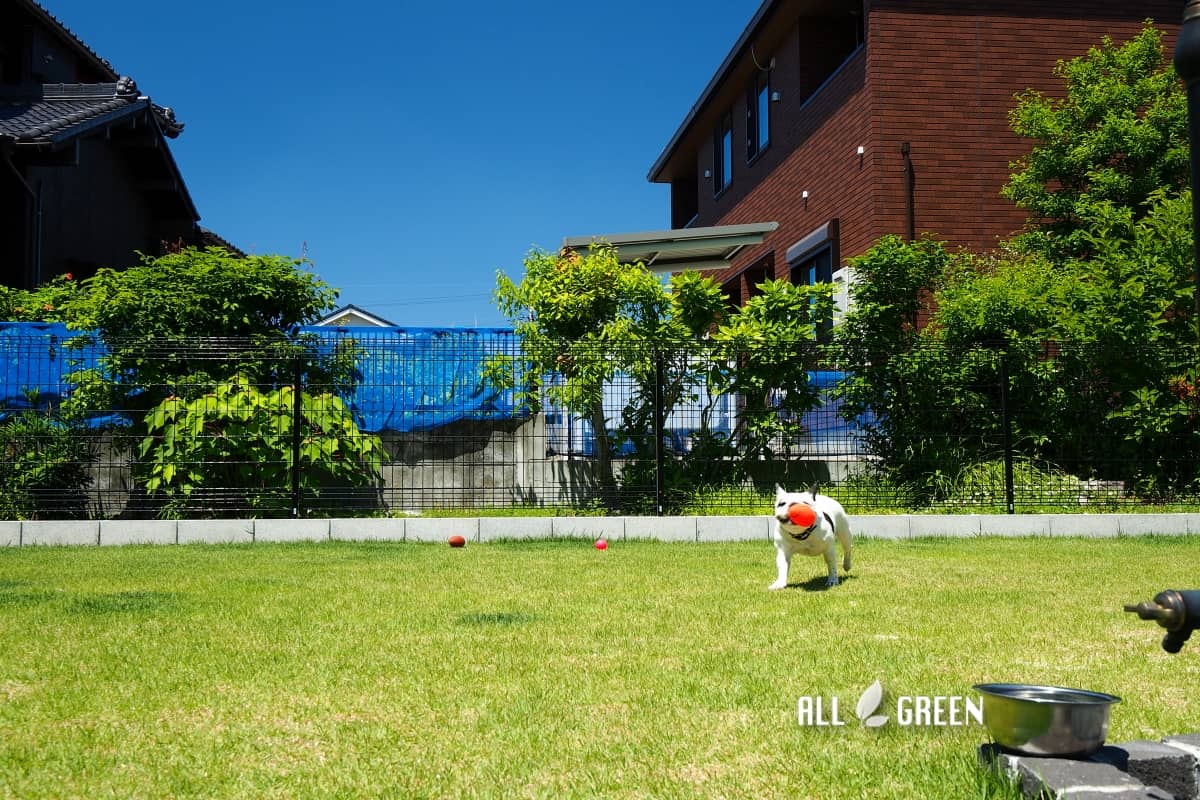 敷地内にドッグランを 北名古屋市にある愛犬を想ったリフォーム外構 Allgreen 庭 エクステリア 新築外構の専門店