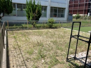 midoriku_S_blog_07391_12