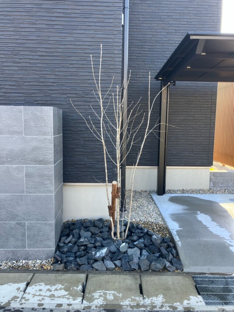 kiyosushi_H_blog_08528_9