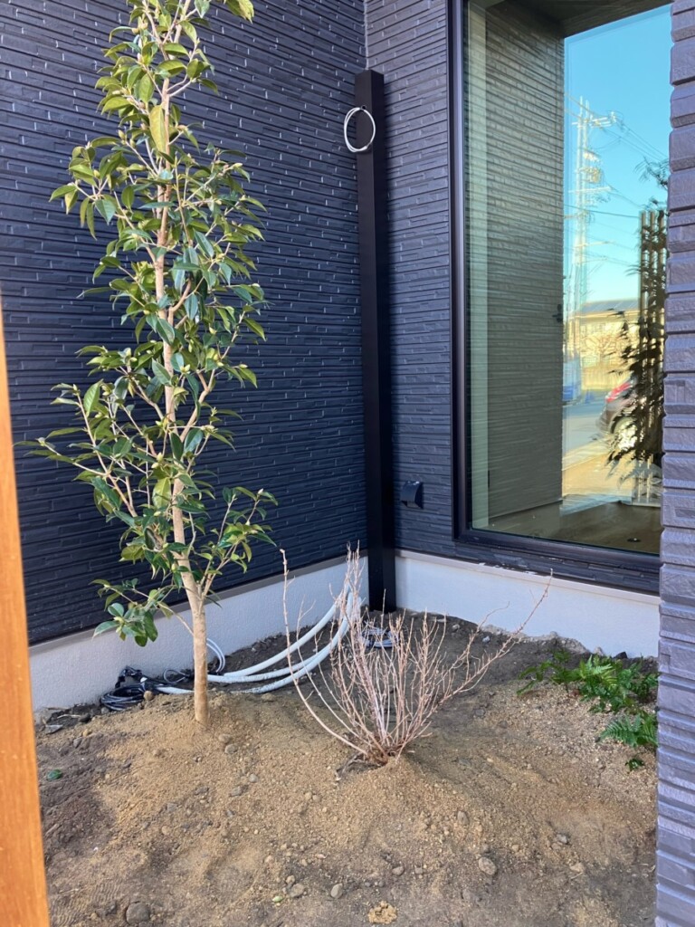 kiyosushi_H_blog_08528_12