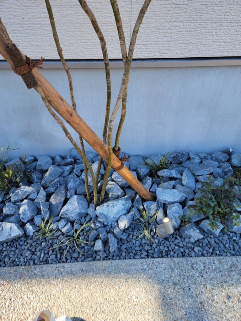 inazawashi_S_blog_08642_14