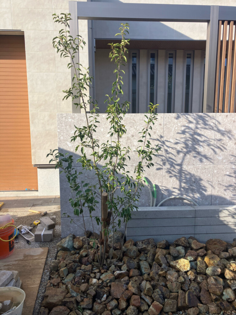 meitoku_f_blog_07847_19