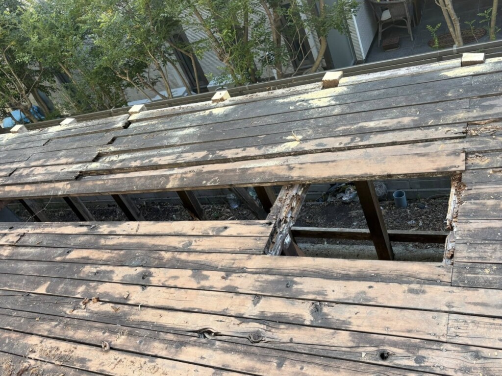 tenpakuku_N_blog_08661_2