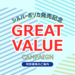シルバーポリカ発売記念！！特別価格のおしらせ！！ 名古屋のエクステリア・外構なら