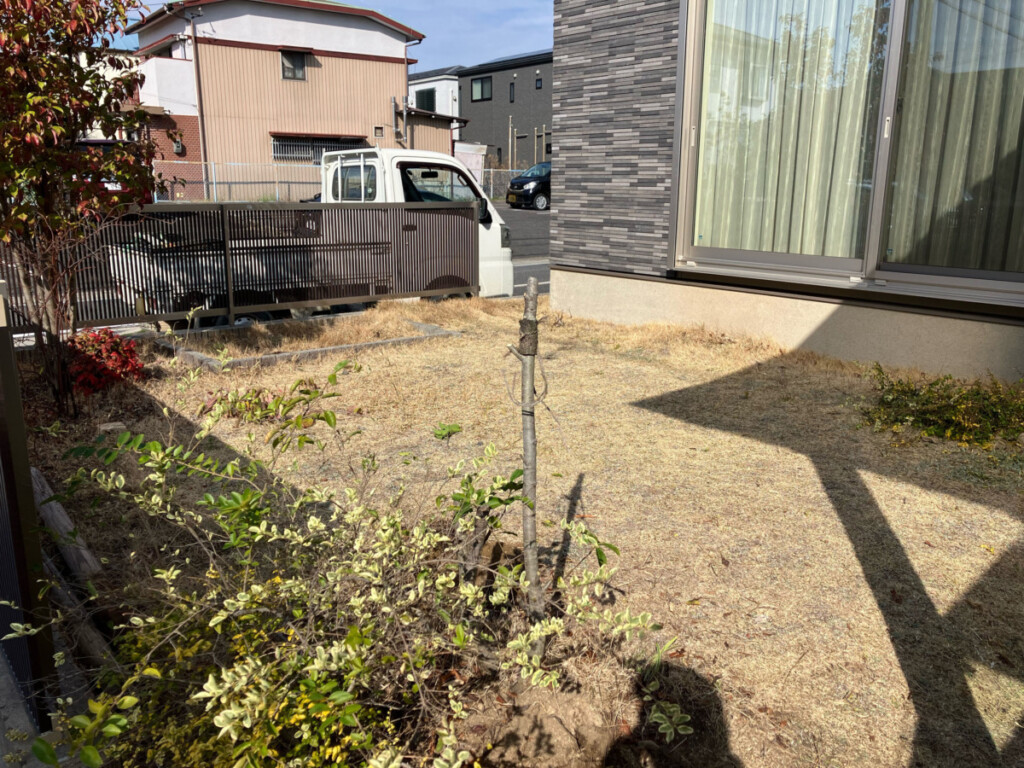 meitoku_S_blog_08764_1