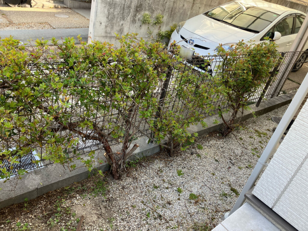meitoku_S_blog_08764_3